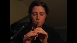 Tin Whistle  Titanic [upl. by Salomo]