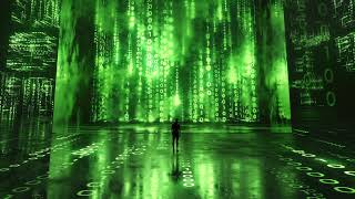 MATRIX BLOCKAGE REMOVAL  LIMITING BELIEFS ERASURE MORPHIC FIELD [upl. by Rap221]