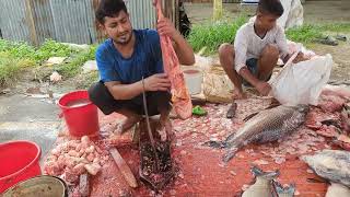 Amazing Pangasius fish cutting skills Fish Cutting Skills [upl. by Ezmeralda128]