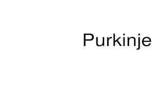 How to pronounce Purkinje [upl. by Adnawat]