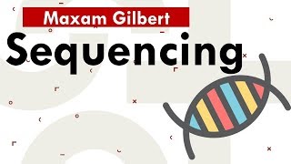 Maxam gilbert sequencing [upl. by Primaveras281]