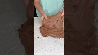 Double chocolate chip sourdough bread shaping [upl. by Alel]