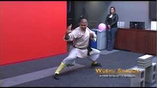 Shaolin Monks LA Santa Monica  HD [upl. by Kinney729]