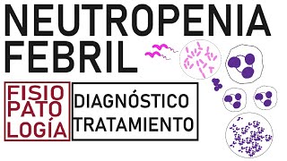 Neutropenia febril  Fisiopatología evaluación y tratamiento [upl. by Ardnuhsed406]