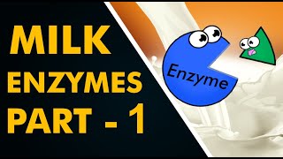 Milk Enzymes  Part 1 [upl. by Eerbua]