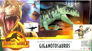 Dinossauros Giganotossauro Colossal  Jurassic World Dominion Jurassic Park [upl. by Keldon]