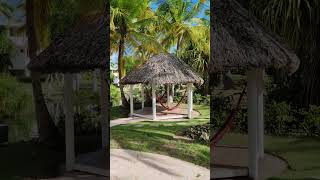 🇩🇴 Catalonia Bavaro Beach Punta Cana Dominican Rep 🌴shortsvideo shorts shortvideo travel [upl. by Snebur]