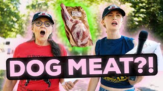 We Tried Selling Dog Meat in the Park Social Experiment [upl. by Aicilaana]