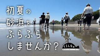 黒潮町自慢の青い海と広い砂浜！初夏のビーチをぶらぶら歩きながらＴシャツアート展へ！ [upl. by Noll]