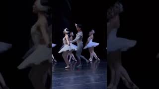 The Swan Lake Marianela Nunez amp Kimin Kim 김기민 [upl. by Candis]