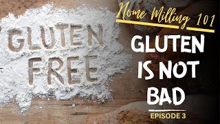 Should I Eat Gluten  Is GlutenFree Healthy  Home Milling 101 Episode 3 [upl. by Geralda807]