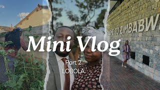 Roora day vlog  Roora squad Zimbabwean youtubers [upl. by Stark]