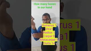 Hands bonse english sciencesciencefacts MSdksir1996 [upl. by Elyac]