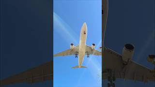 A330 landing reverse Level Airlines 4K plane airline landing 4k shorts aviation [upl. by Engvall]