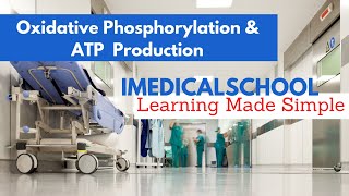 Oxidative Phosphorylation and ATP Production Made Simple [upl. by Horatio393]