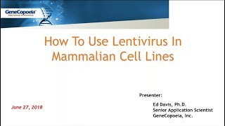 How To Use Lentivirus In Mammalian Cell Lines [upl. by Ettena]