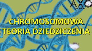 110 Chromosomowa teoria dziedziczenia [upl. by Dewain761]