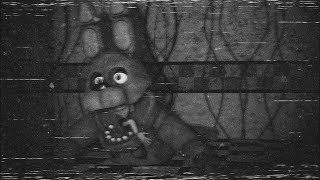 THE MOST TERRYIFING FNAF VHS TAPES YOU WILL EVER SEE [upl. by Maurise]