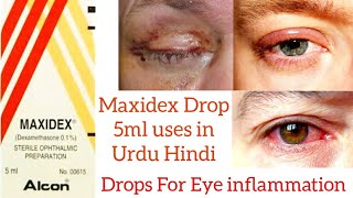 Maxidex Drops Suspension uses in Urdu Hindi [upl. by Llenrep]