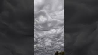 Asperatus Clouds shorts [upl. by Burnley]