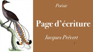 Poésie  Page décriture  Jacques PRÉVERT  French Poetry [upl. by Fujio]