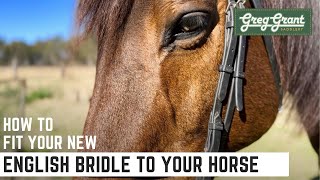 How to Fit Your New English Bridle to Your Horse  Greg Grant Saddlery [upl. by Hadrian]