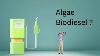 What is Algae Biodiesel  How to make algae biodiesel [upl. by Garvy855]