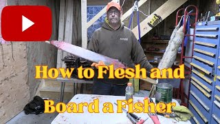 How to Flesh And Board A Fisher [upl. by Nordine]