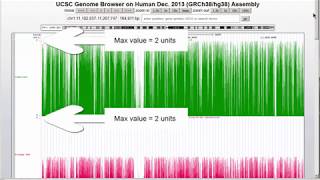 Track Collection Tool at the UCSC Genome Browser  Quick Start [upl. by Neelak]