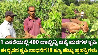 1 ಎಕರೆಯಲ್ಲಿ 400 ದಾಲ್ಚಿನ್ನಿ ಚಕ್ಕೆ ಮರಗಳು  ಕಡಿಮೆ ಖರ್ಚಿನ ದಾಲ್ಚಿನ್ನಿ ಕೃಷಿ  cinnamon farming in kannada [upl. by Yerxa852]