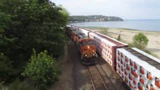 BNSF Freight Trains at Carkeek Park in Seattle Washington [upl. by Ellekcim672]