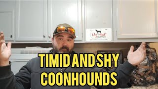 Timid and Shy Coonhounds [upl. by Lenuahs]