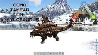 Como tamear un Ankylosaurus de manera fácil y rápida En Ark Survival Evolved [upl. by Aldrich]