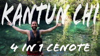 Kantun Chi Cenotes Tulum  cant get enough of this [upl. by Neelik]