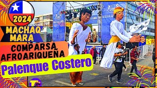 COMPARSA AFROARIQUEÑA PALENQUE COSTERO Machaq Mara 5532 Arica Chile 2024 [upl. by Jedd]