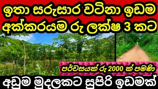 අක්කරයක් රු ලක්ෂ 3 කට  Aduwata idam  Agriculture land  Land for sale in sri lanka  Idam sale [upl. by Charmane583]