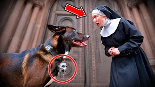 A MYSTERIOUS DOG APPEARS AT THE DOOR OF THE CHURCH AND WHAT YOU FIND WILL SHOCK YOU [upl. by Natalya]