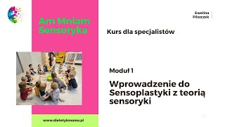 AmMniam moduł 1 wprowadzenie do sensoplastyki [upl. by Alphonso277]