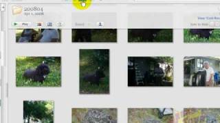 Picasa 3  Library View [upl. by Yorgo]