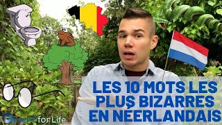 Apprends le néerlandais 10 mots bizarres en néerlandais apprendre le néerlandais pour débutants [upl. by Warden]