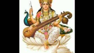 S Balachander  genius on veena  raag Hamsanandhi [upl. by Attenehs]