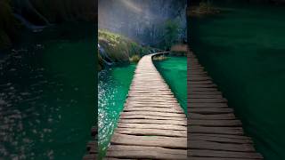 Plitvice Lakes National Park Croatia plitvicelakesnationalpark croatia shorts [upl. by Bellamy480]