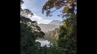 Flora of Ecuador [upl. by Sosthina204]