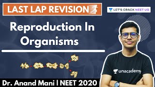 Phoenix 20 Biology Most Important Video for NEET 2025  Vardaan [upl. by Sirdna]