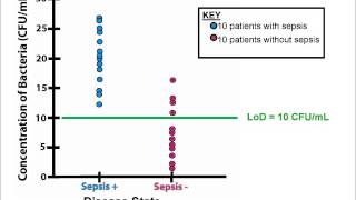 EvidenceBased Validation Part 2 The Impact of Limits of Detection on the Clinical Utility of PCR [upl. by Edmond879]