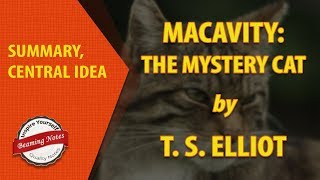 Line by Line Summary of Macavity the Mystery Cat by TS Elliot [upl. by Shaylah121]