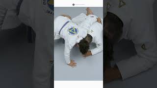 Rickson Gracie Academy jiujitsu ricksongracie graciejiujitsu selfdefense [upl. by Goldman325]