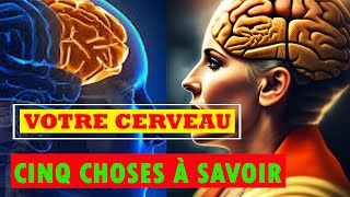 5 Choses basiques à savoir sur le cerveau humain [upl. by Gnort]