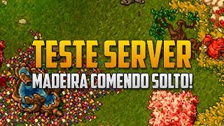 Teste Server Nova quotilhaquot e muita madeira  MoitaWiki [upl. by Ahsele]