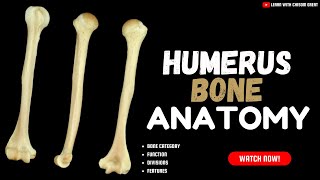 THE HUMERUS ANATOMY [upl. by Tortosa]